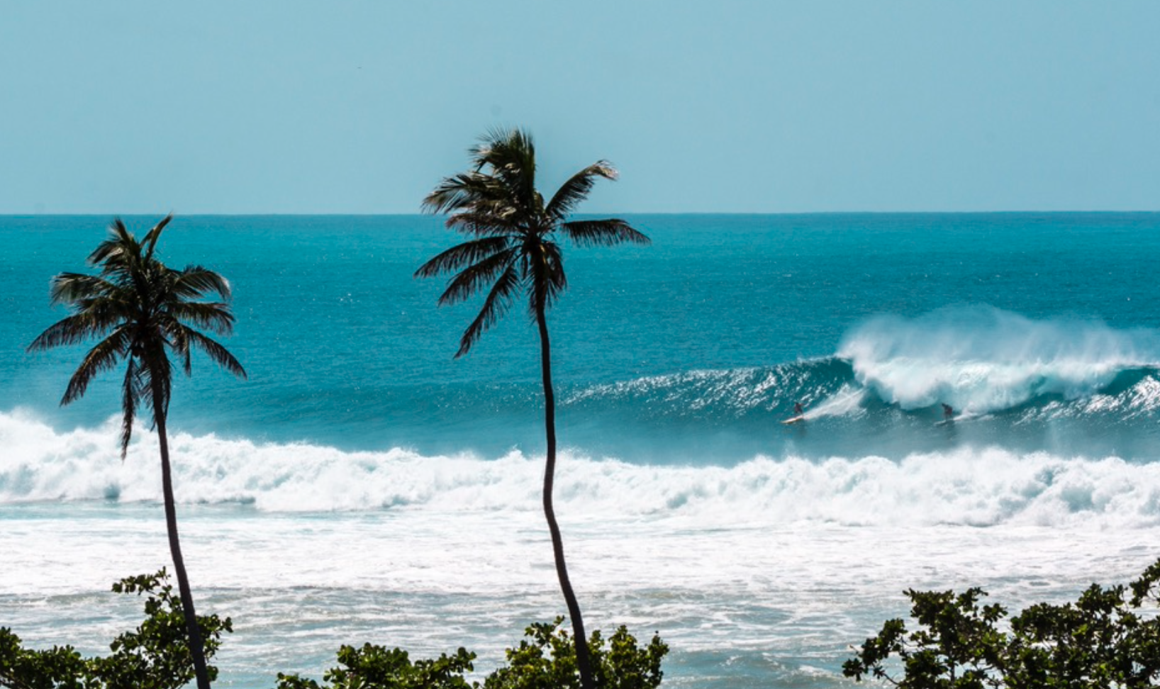 An insight's perspective on Puerto Rico. /posts/islander/IPR.png